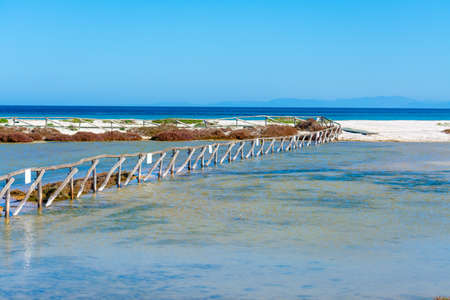 Le Saline beach on a sunny day. Stintino, Italyの写真素材