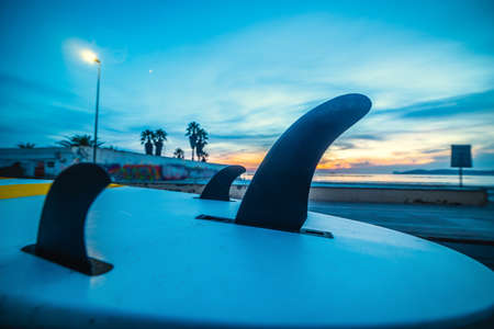 Surfboard on a car rooftop by the sea in the blue hourの写真素材