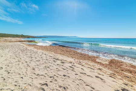 Sun shining over Le Bombarde beach in Sardinia, Italyの写真素材
