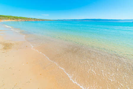 Clear water and golden sand in Lazzaretto beach. Sardinia, Italyの写真素材