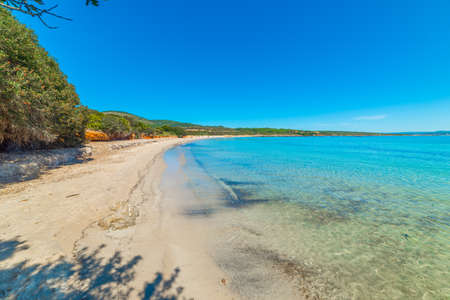 Turquoise sea in Lazzaretto beach in Alghero. Sardinia, Italyの写真素材