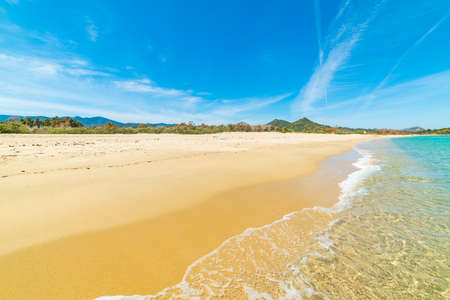 Golden sand and blue sea in Cala Sinzias beach. Sardinia, Italyの写真素材
