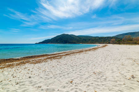 White sand and blue sea in Cala Pira. Sardinia, Italyの写真素材