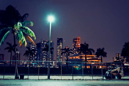 Palm tree and skyscrapers in Miami at night. Southern Florida, USAの写真素材