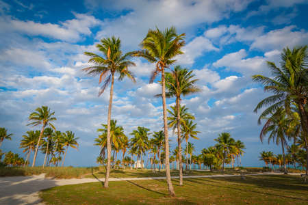 Cloudy sky over Crandon Park in Key Biscayne. Southern Florida, USAの写真素材