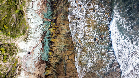 Alghero rocky shoreline seen from above. Sardinia, Italy