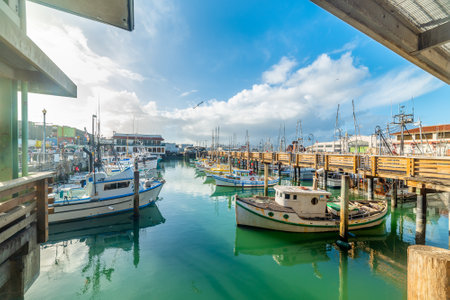 Boats moored in San Francisco harbor on a sunny day. California, USAの写真素材