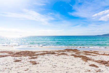 White sand and blue sea in Maria Pia beach. Alghero, Italyの写真素材