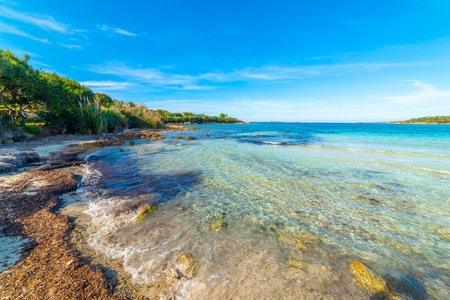 Clear water in Rena Bianca shore in Costa Smeralda. Sardinia, Italyの写真素材