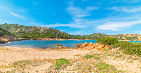 Beautiful cove on a sunny day. Sardinia, Italyの写真素材