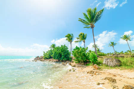 Beautiful Bas du Fort beach in Guadeloupe, French west indies. Lesser Antilles, Caribbean seaの写真素材