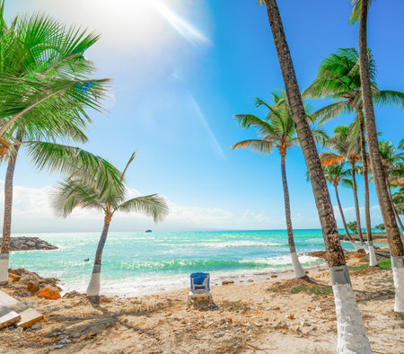 Palms and beach chair in Guadeloupe, French west indies. Lesser Antilles, Caribbean seaの写真素材