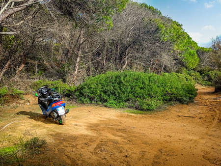 Scooter parked on the edge of a rural road surrounded by pine treesの写真素材