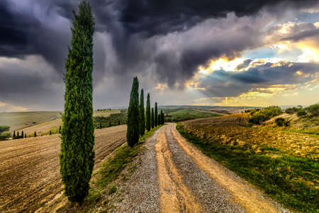 Dirt road with cypresses in Tuscany, Italyの写真素材