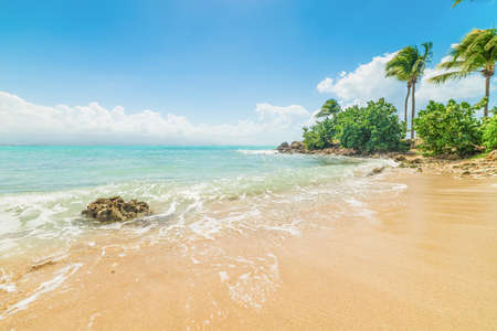 Golden sand in Bas du Fort shore in Guadeloupe, French west indies. Lesser Antilles, Caribbean seaの写真素材