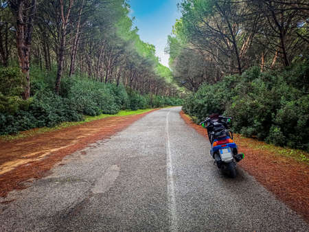 Scooter parked on the edge of a country road surrounded by treesの写真素材