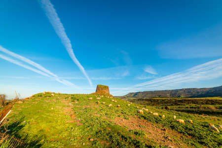 Typical nuraghe surrounded by sheep under a clear sky at sunset. Sardinia, Italyの写真素材