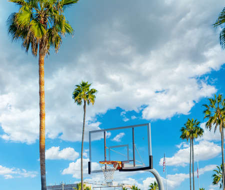 Basketball hoop and palm trees in Venice Beach under a cloudy sky. California, USAの写真素材