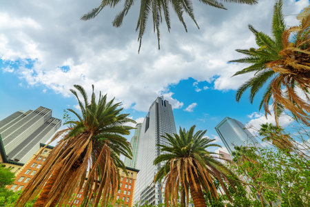 Skyscrapers and palm trees in downtown Los Angeles on a cloudy day. California, USA