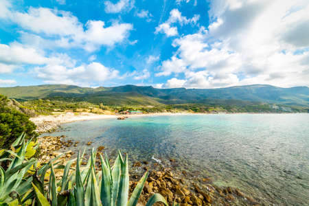 Panoramic view of La Speranza beach on a cloudy day. Sardinia, Italyの写真素材