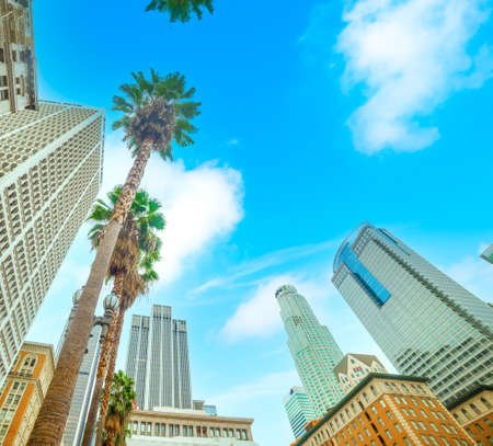Los Angeles, USA - October 27, 2016: Skyscrapers and palm trees in downtown Los Angelesのeditorial素材