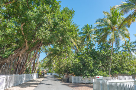 Narrow street in a residential neighborhood in the Florida Keys, USAの写真素材