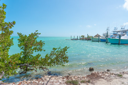 Small dock in the Florida Keys on a sunny day, USAの写真素材