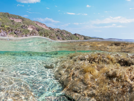 Split underwater view of La Speranza beach in springtime. Sardinia, Italyの写真素材