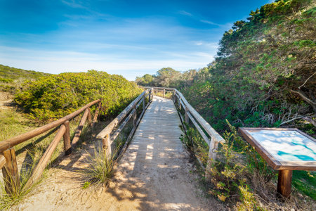 Wooden boardwalk in Andreani cove on a sunny day. Sardinia, Italyの写真素材