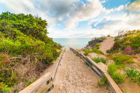 Walkpath to the beach in Alghero at sunset. Sardinia, Italyの写真素材