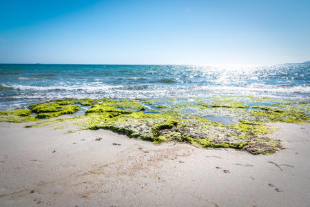 White sand and rocks in Maria Pia beach in springtime. Sardinia, Italyの写真素材