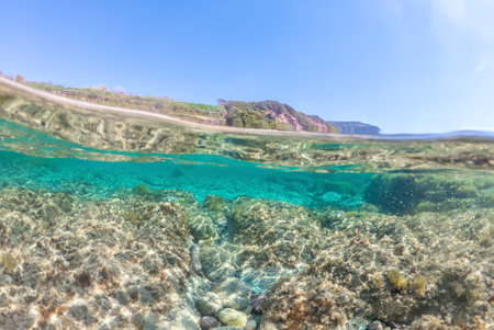 Split underwater view of La Speranza beach under a blue sky. Sardinia, Italyの写真素材