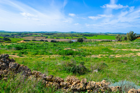Green field under a blue sky in Sardinia, Italyの写真素材