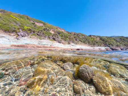 Split underwater view of La Speranza beach on a sunny day. Sardinia, Italyの写真素材