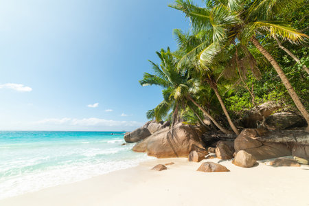 World famous Anse Lazio in Praslin island under a blue sky, Seychellesの写真素材