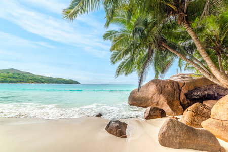 Rocks and palm trees by the sea in world famous Anse Lazio. Praslin island, Seychellesの写真素材