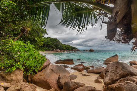 Anse Lazio under an overcast sky. Praslin island, Seychellesの写真素材
