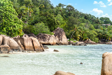 Rocks, palm trees and clear water in Anse Citron. Praslin island, Seychelles