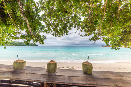 Coconut drinks on a wooden table by the sea in Anse Lazio, Seychellesの写真素材