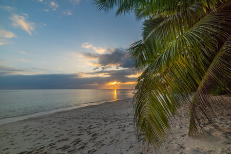 Colorful sunset in Praslin island, Seychellesの写真素材