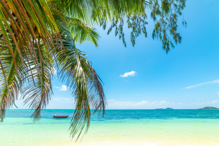 Boat by the shore in Praslin island, Seychellesの写真素材