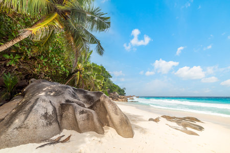 Anse Georgette shore with palm trees and granite rocks. Praslin island, Seychellesの写真素材