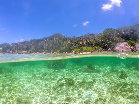 Split underwater view of Anse Royale shore. Mahe island, Seychellesの写真素材