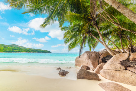 Anse Lazio foreshore on a sunny day. Praslin island, Seychellesの写真素材