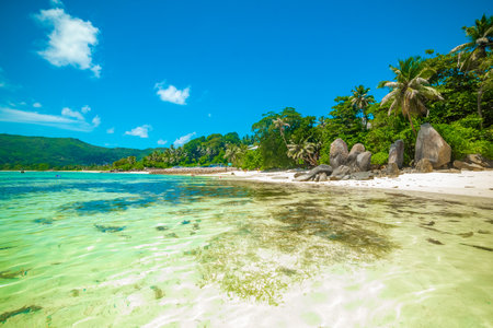 Clear water in Anse Royale beach. Mahe island, Seychellesの写真素材