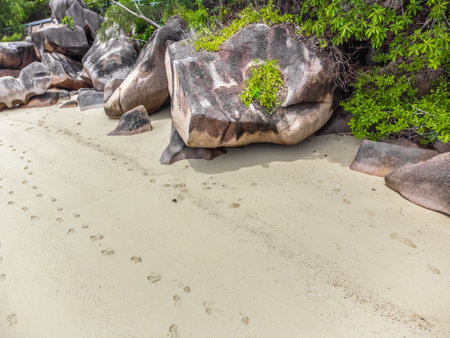 Granite rocks and sand in Anse Citron shore. Praslin island, Seychellesの写真素材