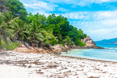 Granite rocks and palms by the sea in Anse Severe. La Digue island, Seychellesの写真素材