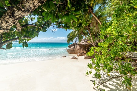 Empty corner of world famous Anse Lazio on a sunny day. Praslin island, Seychellesの写真素材