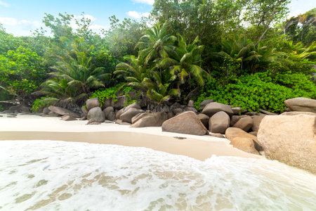 Rocks and palm trees in famous Anse Georgette beach in Praslin island, Seychellesの写真素材