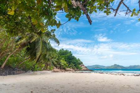 White sand in beautiful Anse Severe in La Digue island, Seychellesの写真素材
